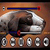 M VIDEO 3GP  MP4 Player Latest App