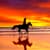 Horse Live Wallpapers