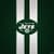 New York Jets Fan
