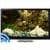 Fish Tank on TV via Chromecast transparent