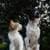 Pictures of dogs with cats