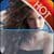 Live wallpapers Hot or not Scanner