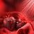Best Valentine Wallpapers HD