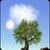 DreamSky  Live Wallpaper