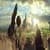 oz the great and powerful
