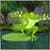 Jumping Frog V2