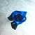 beautiful wallpapers and  pictures  of blue roses