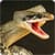 Anaconda Rampage: Giant Snake Attack