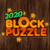 Blocks Puzzle Pro