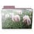 Flowers Wallpaper 2015