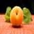 Apricots fruits  مشمش