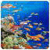HD Underwater Live Wallpaper