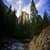 WONDERFUL MOUNTAIN FOREST WALLPAPER