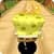 Bob Adventure Run