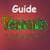 Guide Terraria