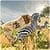 Wild Lion Safari Simulator 3D