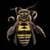 Bee around the world 4K