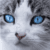 Cats Jigsaw Puzzle 2024