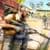 Fort Battlegrounds Nite Squad Game
