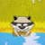 Raccoons Towel