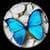 Butterfly Bubble Smart
