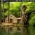 Beautiful Small House
