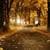 Autumn Road Cool Live Wallpaper