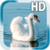 Swan Bird Live Wallpaper