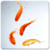 Gold Fish Video Live Wallpaper