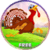 TURKEY FLY CHAMP