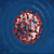 Nobian Covid-19 Live Updates