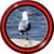 Seagull Live Wallpapers