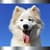 New Dog Ringtones