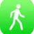 the pedometer
