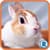 Rockin Animal Puzzle