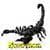 Scorpion Lite