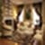 Home decoration pic wallpaper