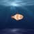 World Fish