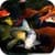 Koi Zen Garden Live Wallpaper