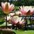 1033 Flowers Wallpapers
