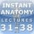 IA Lectures 31-38
