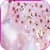 Spring Flowers Wallpaper 2015