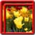Flowers Live Wallpapers Best