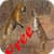 Free Loin Fight