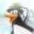 Crazy Penguin App