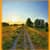 Nature Landscapes Live