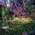 Magic Garden logic