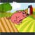 Pig Gash