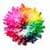 beautiful wallpapers and  pictures  of Rainbow