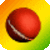 Cricket Zone